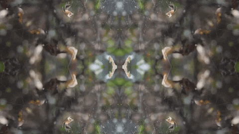 Art Love GIF by jorgemariozuleta