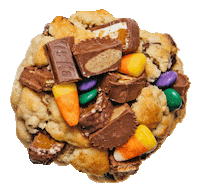 Dessert Cookie Sticker by big.fat.cookie