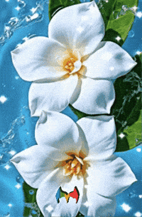 Feliz Corazon GIF by Murcianys LLC