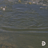 Naked And Afraid Water GIF by Discovery