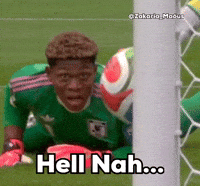 World Cup 2026 Japan GIF