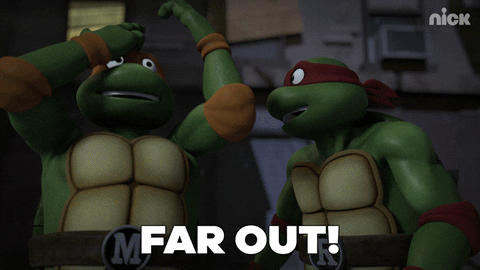 ninja turtles GIF by Teenage Mutant Ninja Turtles