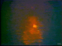 80's vintage GIF by vhspositive