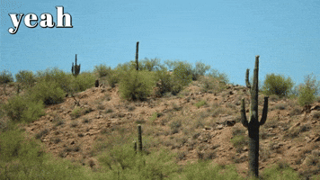 yeah that's pretty wow