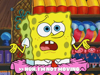 season 6 episode 20 GIF by SpongeBob SquarePants