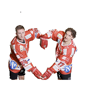 Hockey Pill Sticker by dsc-eishockey