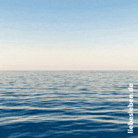 Summer Holiday GIF by LIEBESLEBEN