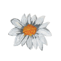 CharlieGirlGems artist floral daisy florals Sticker
