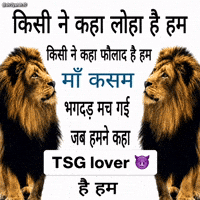 Tsg GIF