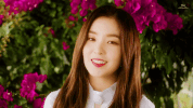 kpop k-pop k pop red velvet irene GIF