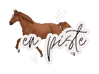 Horse Dressage Sticker