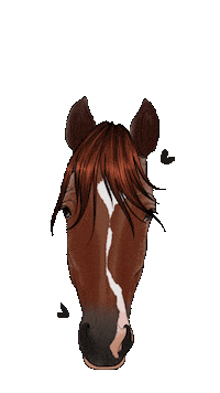 Horse Dressage Sticker