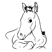 Horse Liberty Sticker