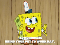 season 7 episode 21 GIF by SpongeBob SquarePants
