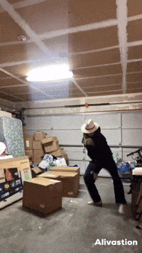 Alexdelgado GIF