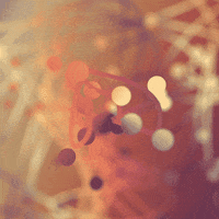 colors repeating GIF by gfaught