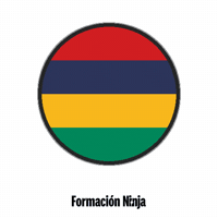 Flag Bandera GIF by Formación Ninja
