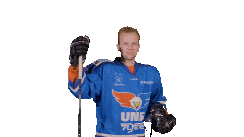 Hockey Dennis Sticker by UNIS Flyers