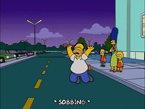 homer simpson GIF