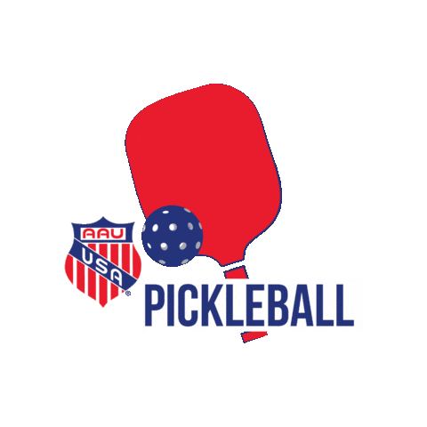 Ball Usa Sticker by aausports