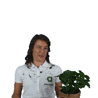 plantsome plant oops plants accident Sticker