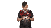 Mainz 05 Vbl Sticker by Bundesliga