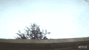 Shocked Dead Boys GIF by NETFLIX