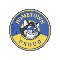 catcountry cat radio country cma Sticker