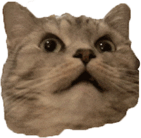 Angry Cat GIF