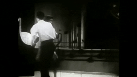 swingindenver giphygifmaker GIF