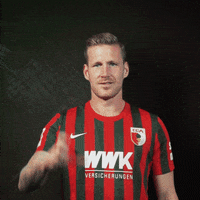 Bundesliga Tor GIF by FC Augsburg 1907
