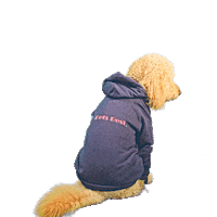 PetsBest dog puppy pet doodle Sticker