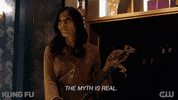 Tv Series Legend GIF by CW Kung Fu