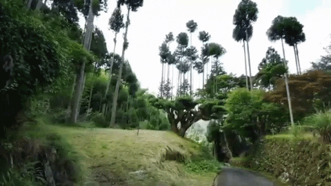 nhocducon giphygifmaker cedars go tuyet tung GIF