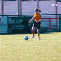 Premier League Football GIF by Wolves