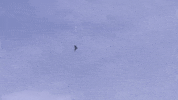 Fly Flying GIF by Safran