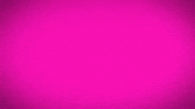 celebrate happy birthday GIF