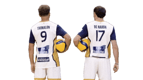 Volleyball Sticker by Reims Volley 51