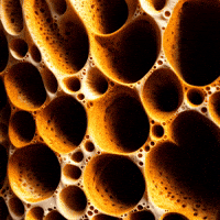 Sa Satisfy GIF by Aleksey Efremov