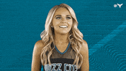 Honey Bee Dance GIF by Charlotte Hornets