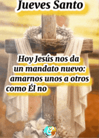 Amigos Nuevo GIF by Murcianys LLC