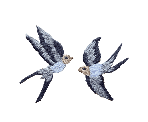 Bird Love Sticker by bemmimosa