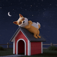 Sleepy Good Night GIF by Doge Pound