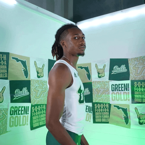 South Florida Horns Up GIF by USF Athletics