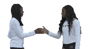 ECUTigers friends volleyball handshake vb Sticker