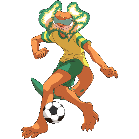 Team Australia Football Sticker by AUSParalympics