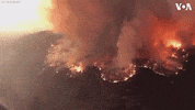wildfire australia fires australia fire GIF