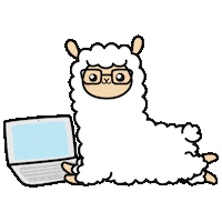 Computer Coding Sticker