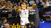 gaelalumni excited mascot smc saint marys college GIF