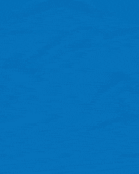 Z S C GIF by ZSC Esports